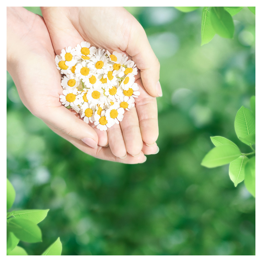 Гігієнічні прокладки Naturella Classic Normal 18 шт. (8001841479309) - зображення 6