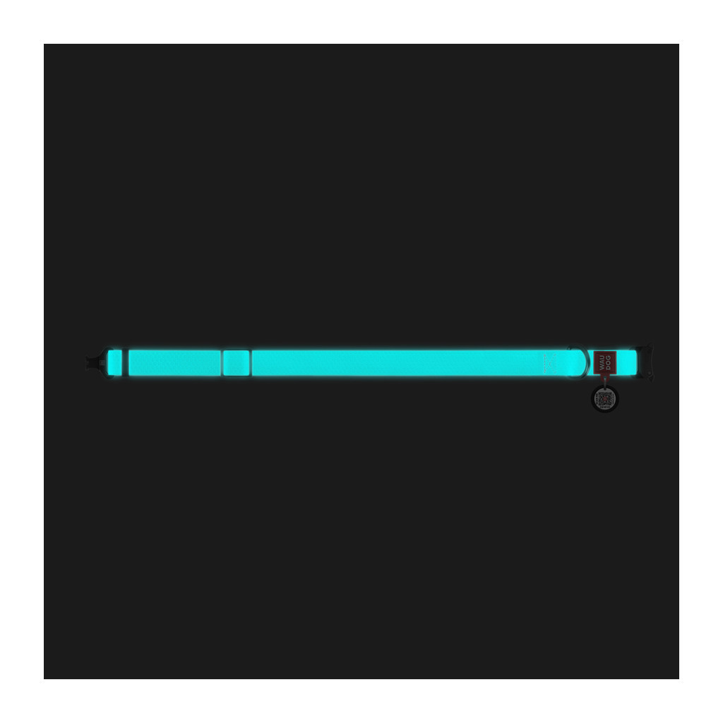 Нашийник для тварин WAUDOG Waterproof з QR металічна пряжка-фастекс Ш 25 мм Д 38-58 см ментоловий (2783) - изображение 2