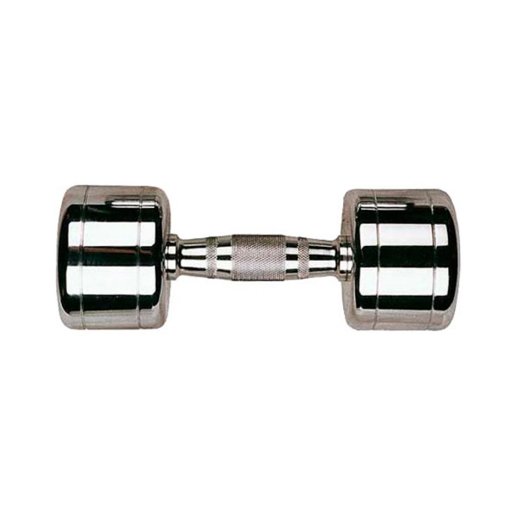 Гантель Stein Хромована 9 кг (DB3002-9) - зображення 1