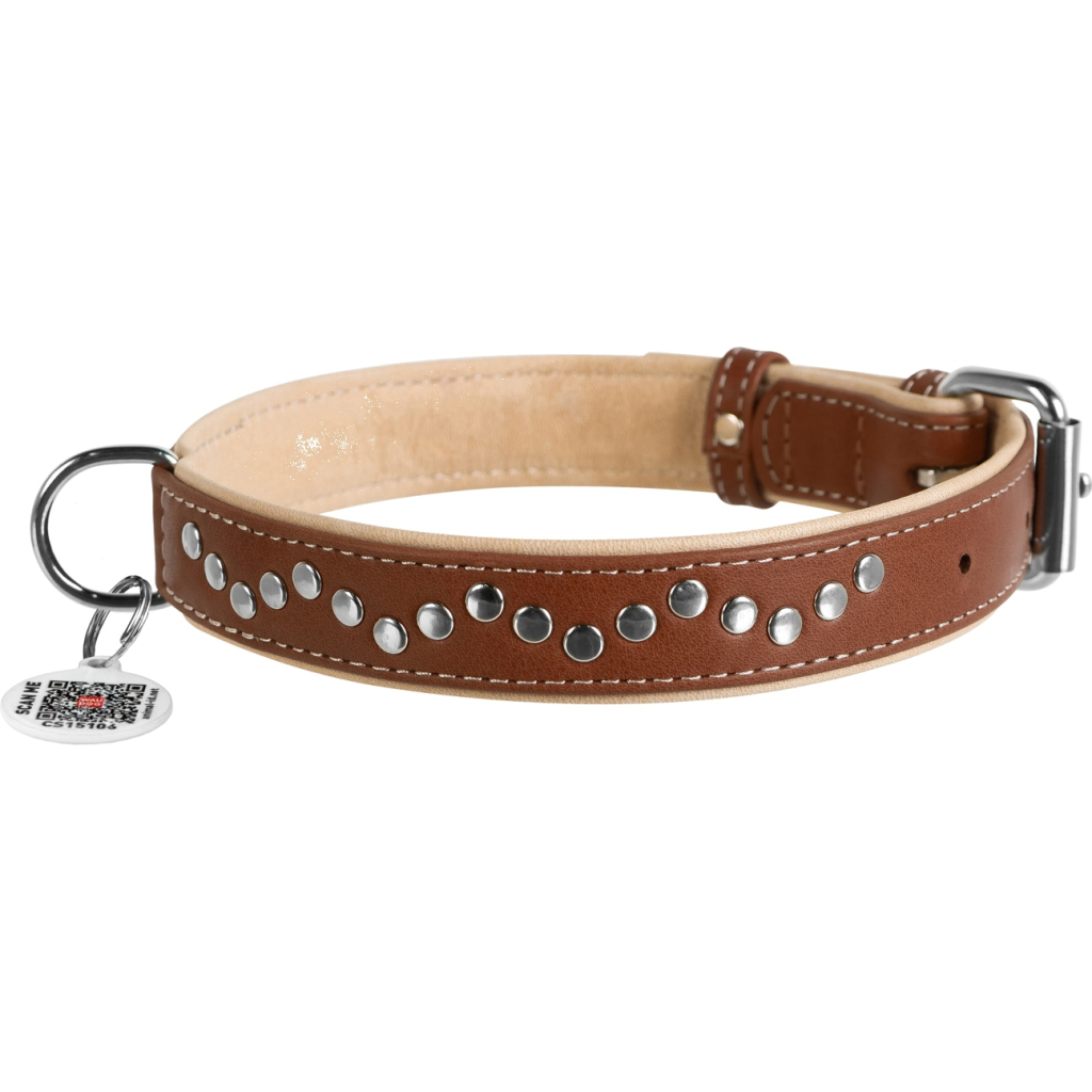 Нашийник для тварин WAUDOG Soft з QR паспортом металічні прикраси S коричневий (7197) - зображення 2