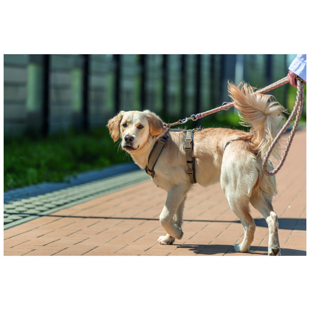 Повідець для собак Trixie Cavo регульований S–M 2 м діаметр 12 мм рожево-пісочний (4053032677838) - зображення 5