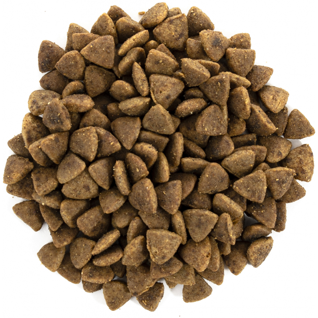 Сухий корм для кішок Brit Care Cat GF Adult Activity Support 2 кг (8595602540822) - зображення 4