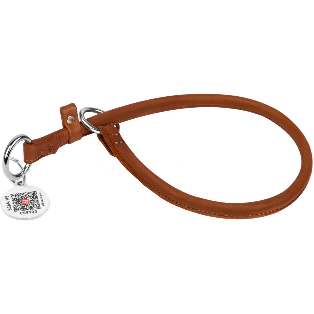 Нашийник для тварин WAUDOG Soft з QR паспортом, круглий, Ш 10 мм Д 50 см коричневий (75176) - зображення 1