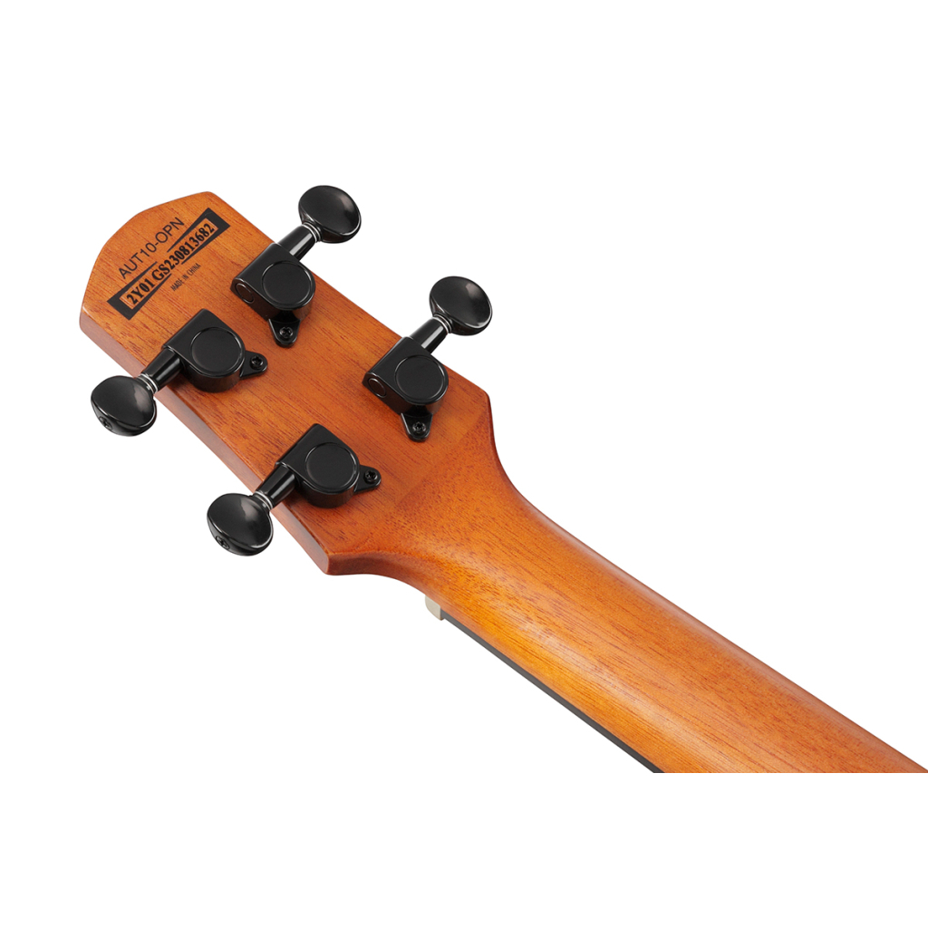 Укулеле Ibanez AUT10 OPN (234984) - зображення 9