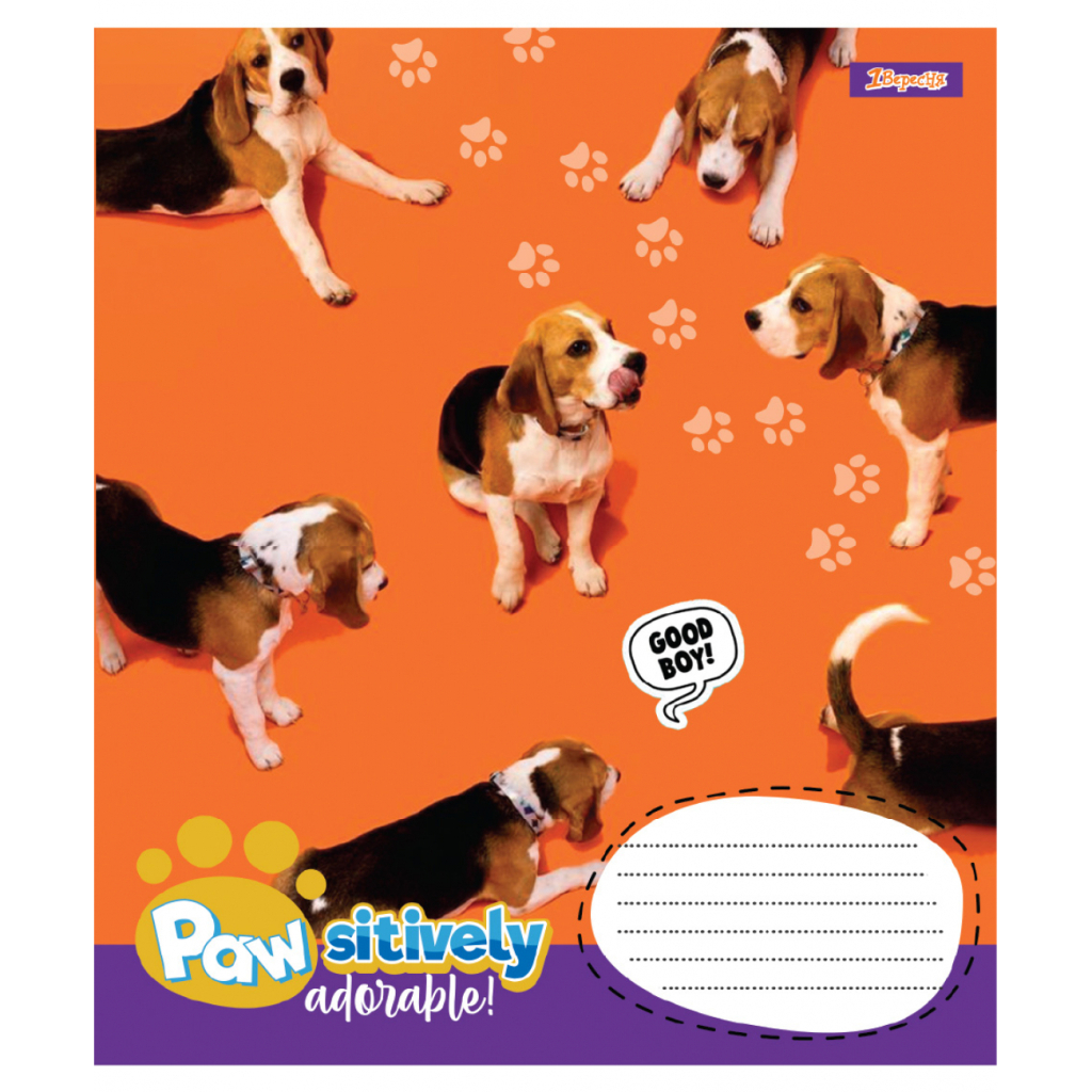 Зошит 1 вересня Pawsitively А5 24 аркушів клітинка (768240) - зображення 2