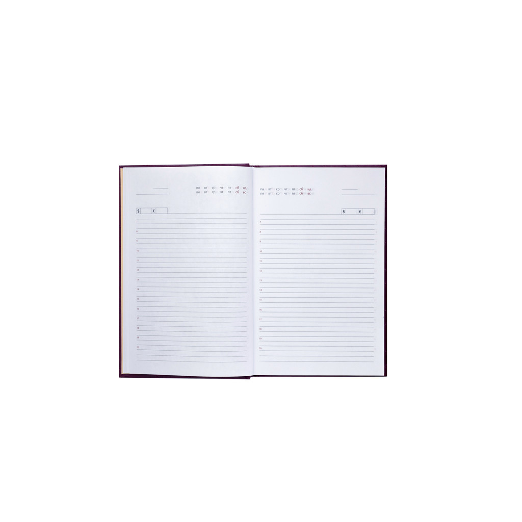 Тижневик Buromax недатований Amazonia А6 з шт. шкіри на 288 сторінок Чорний (BM.2612-01) - зображення 11