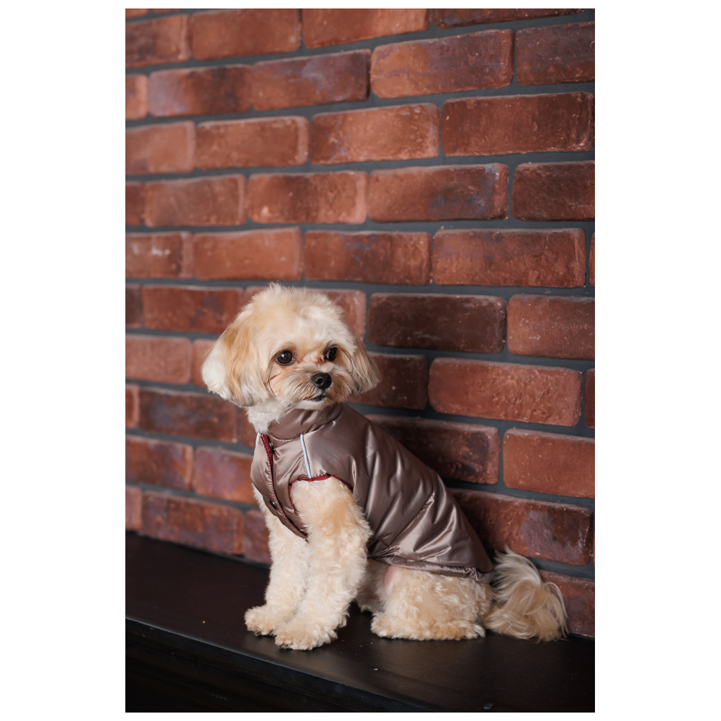 Жилет для тварин Pet Fashion Hardy S2 (4823082437504) - изображение 8