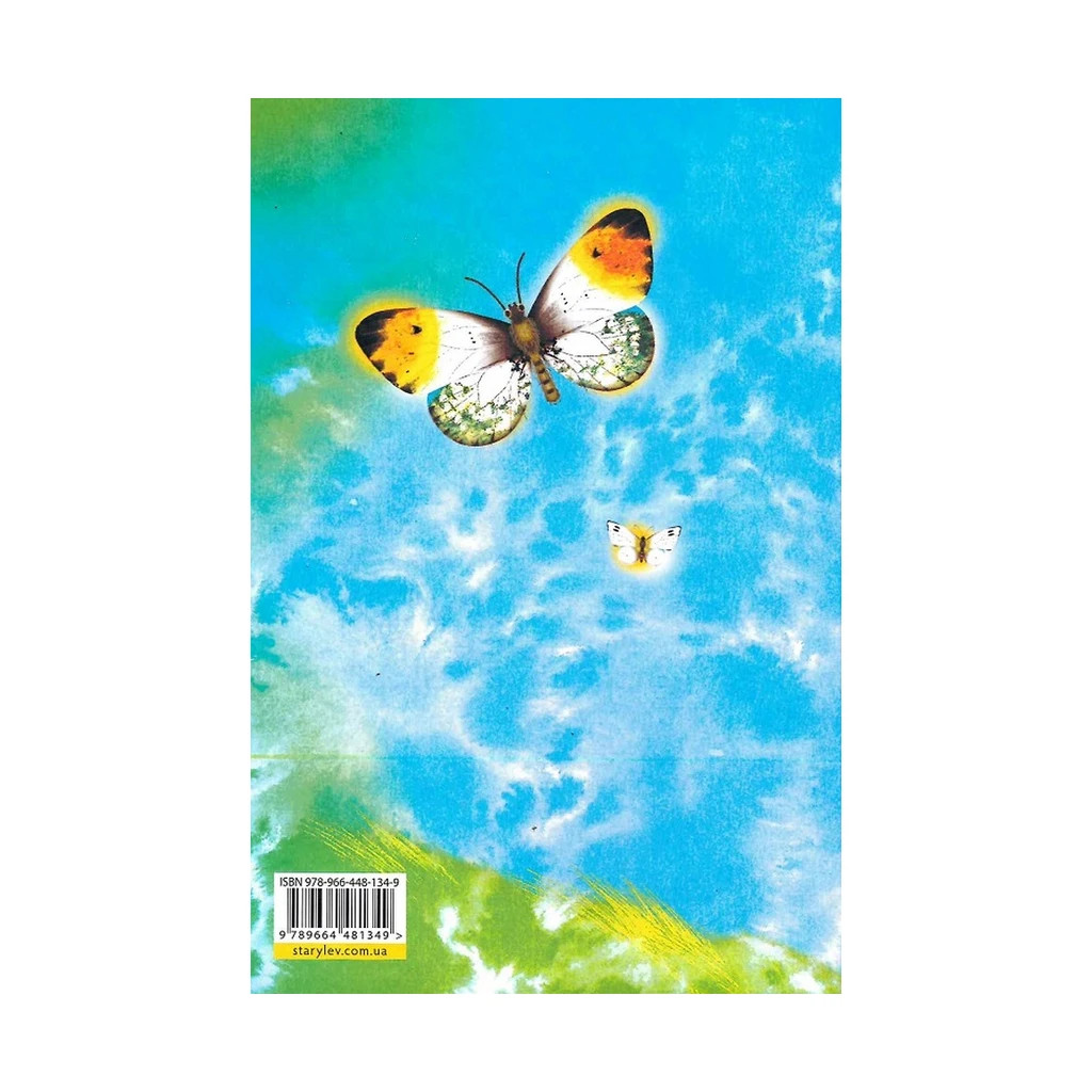 Книга Метелики перетворюються - Галина Вдовиченко Видавництво Старого Лева (9789664481349) - зображення 2