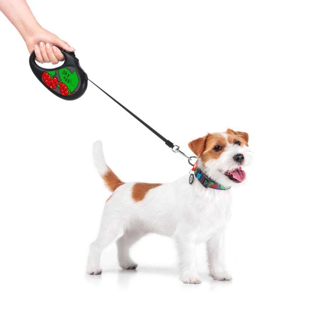 Повідець для собак WAUDOG R-leash Калина світловідбиваюча стрічка XS 3 м (8123-0228-01) - зображення 3