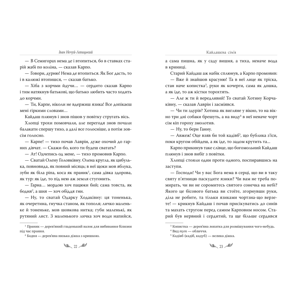 Книга Кайдашева сім'я - Іван Нечуй-Левицький Видавництво РМ (9786178248765) - зображення 7