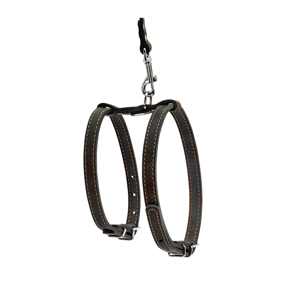 Шлея для собак Collar з повідцем для малих порід Ш 14 мм Д 122 см чорна (05471) - зображення 2