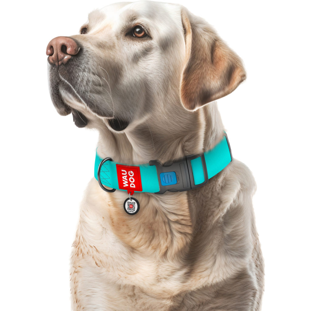 Нашийник для тварин WAUDOG Waterproof пластиковий фастекс XXL Ш 40 мм Д 46-70 см ментоловий (2509) - зображення 4