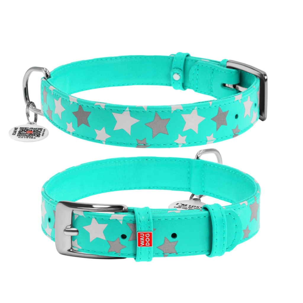 Нашийник для тварин WAUDOG Glamour з QR паспортом "Зірочка" M Ш 25 мм Д 38-49 см ментоловий (358713) - зображення 1
