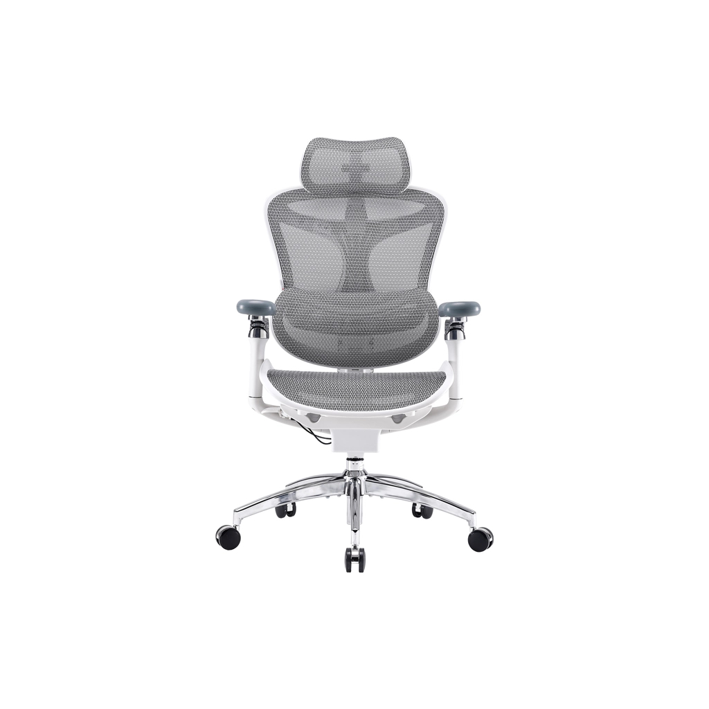Офісне крісло Sihoo DORO C300 Pro Mesh White (DORO-C300-PRO-M102) - picture 1