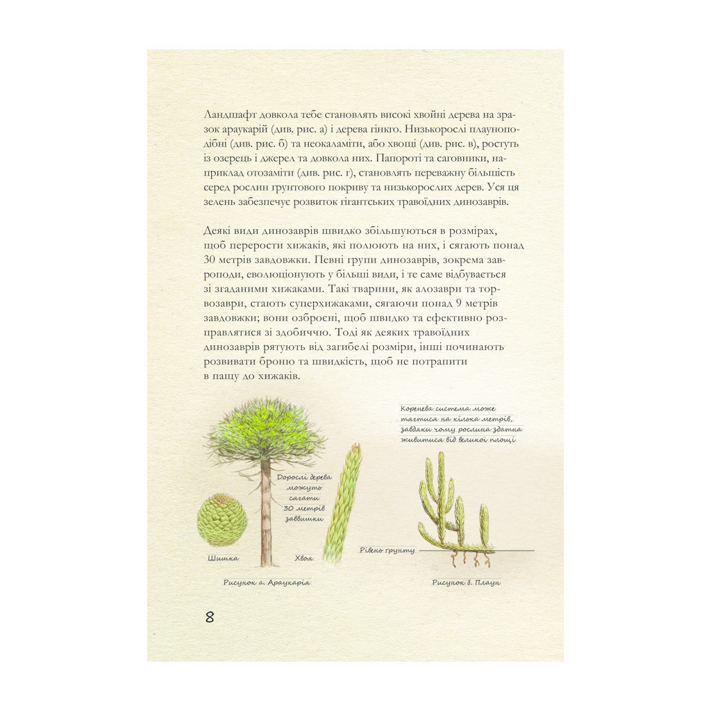 Книга Юрський період: Динозаври та інші давні тварини - Хуан Карлос Алонсо КСД (9786171281035) - зображення 7