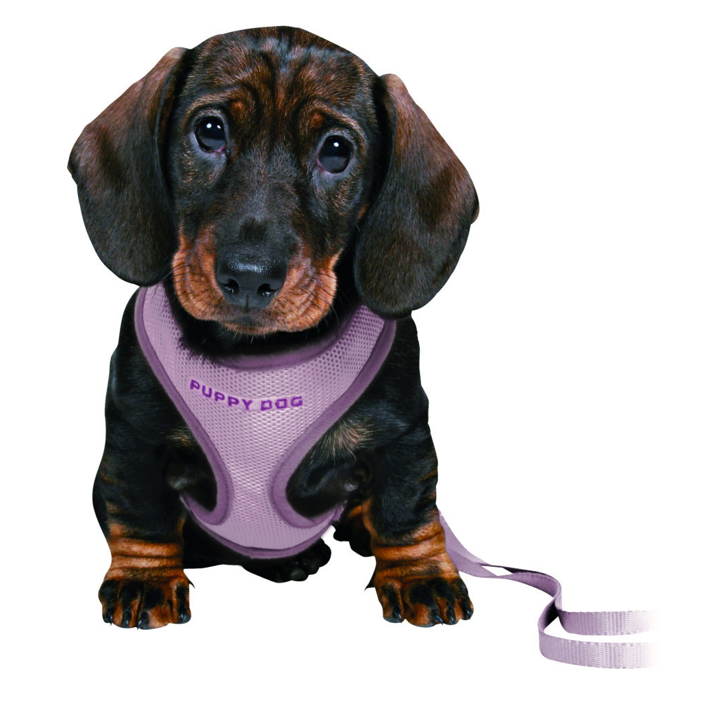 Шлея для собак Trixie з повідцем для цуценят S–M 26–34 см 10 мм світло-бузкова (4011905155647) - picture 3