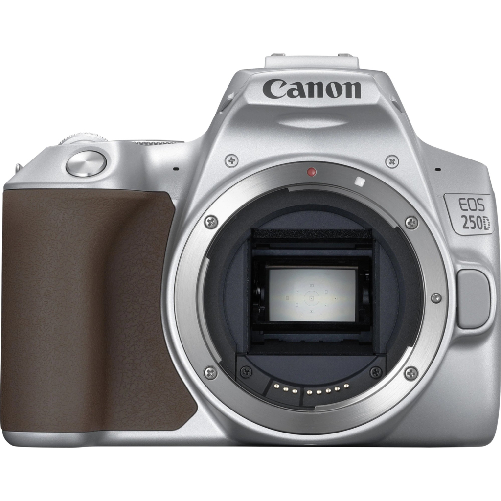 Цифровий фотоапарат Canon EOS 250D kit 18-55 IS STM Silver (3461C003) - зображення 9