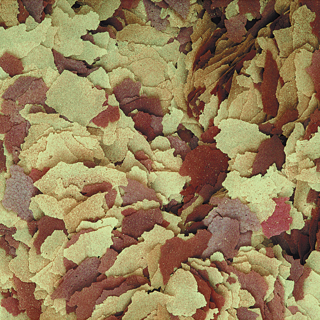 Корм для риб Tropical у пластівцях 21 л (5900469744291) - зображення 2