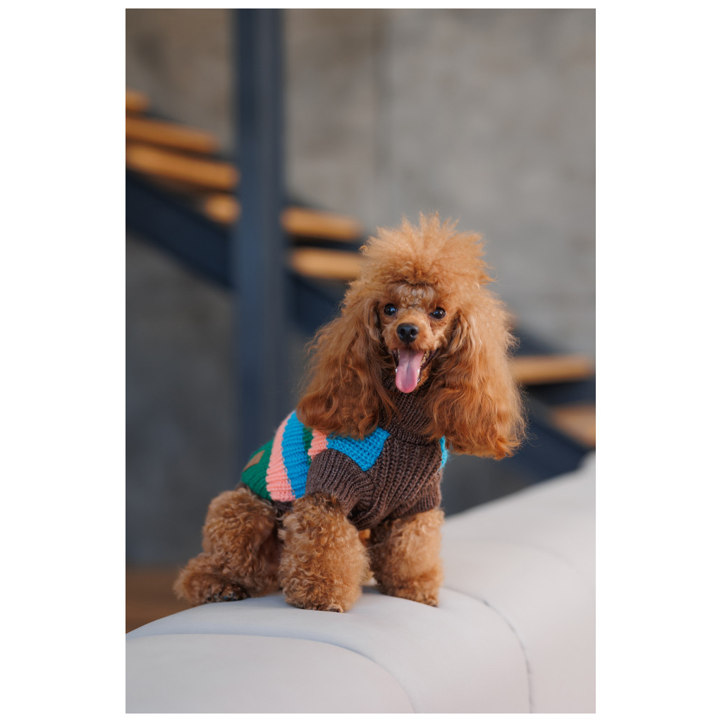 Светр для тварин Pet Fashion Happy M (4823082436125) - зображення 4