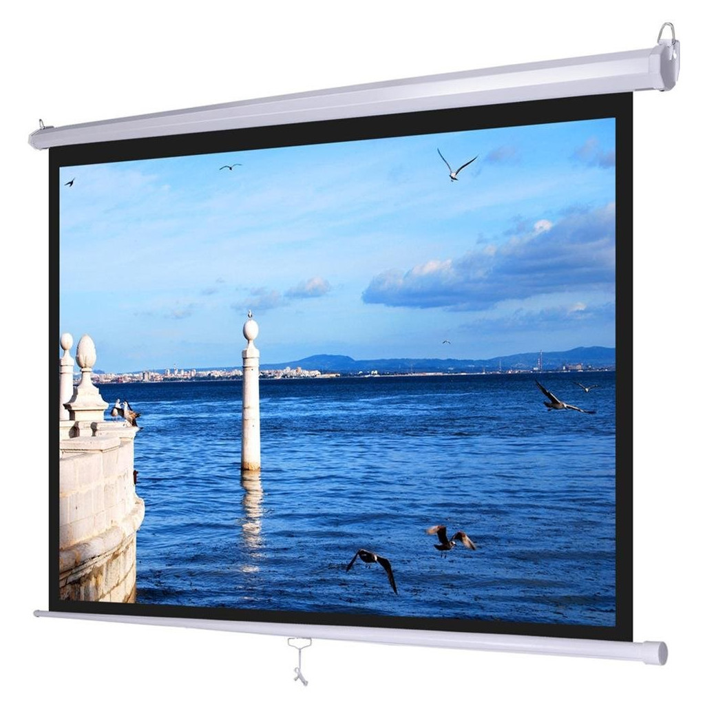 Проекційний екран Atria MW-HD-110D - зображення 1