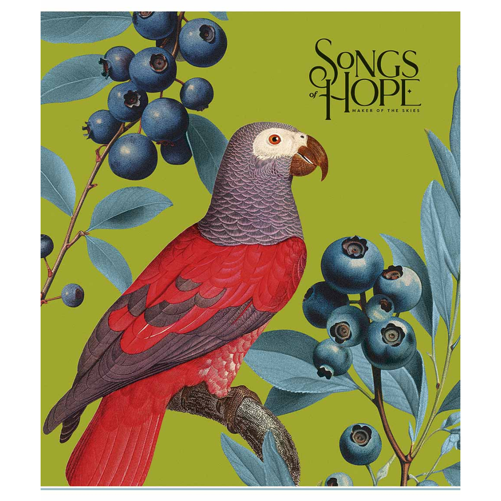 Зошит Школярик Birds 60 аркушів клітинка (060-3410K) - зображення 2