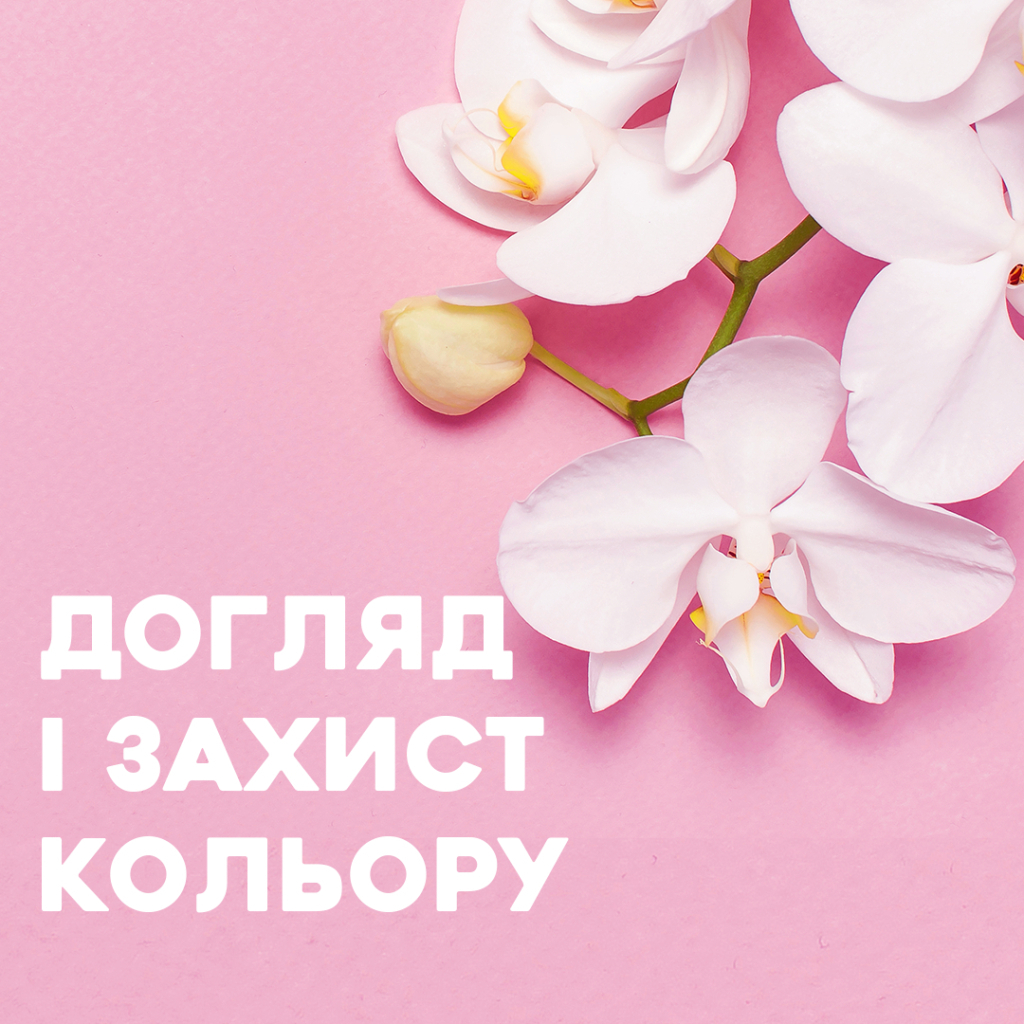 Шампунь OGX Orchid Oil для захисту кольору фарбованого волосся 385 мл (0022796972408) - зображення 4