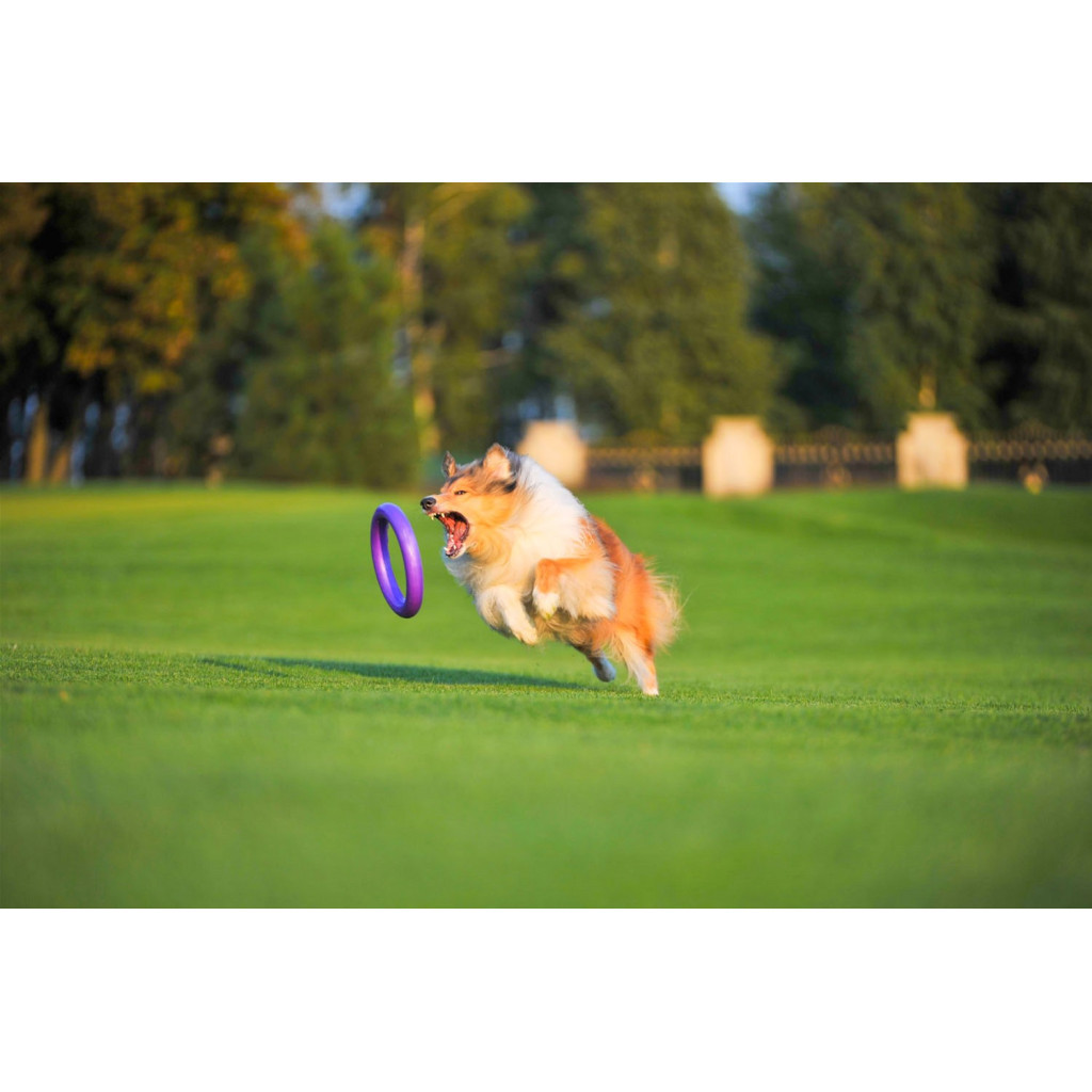 Іграшка для собак Puller Standard Тренувальний снаряд 28 см 2 шт (6490) - зображення 11