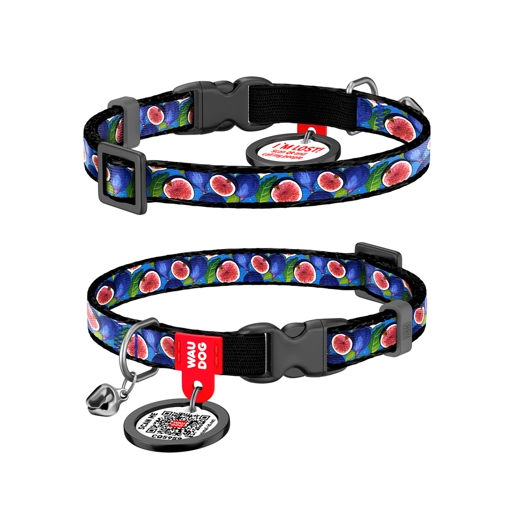 Нашийник для тварин WAUDOG Nylon з QR паспортом "Інжир" пластиковий фастекс XS 20-30 см (279-4053) - зображення 1