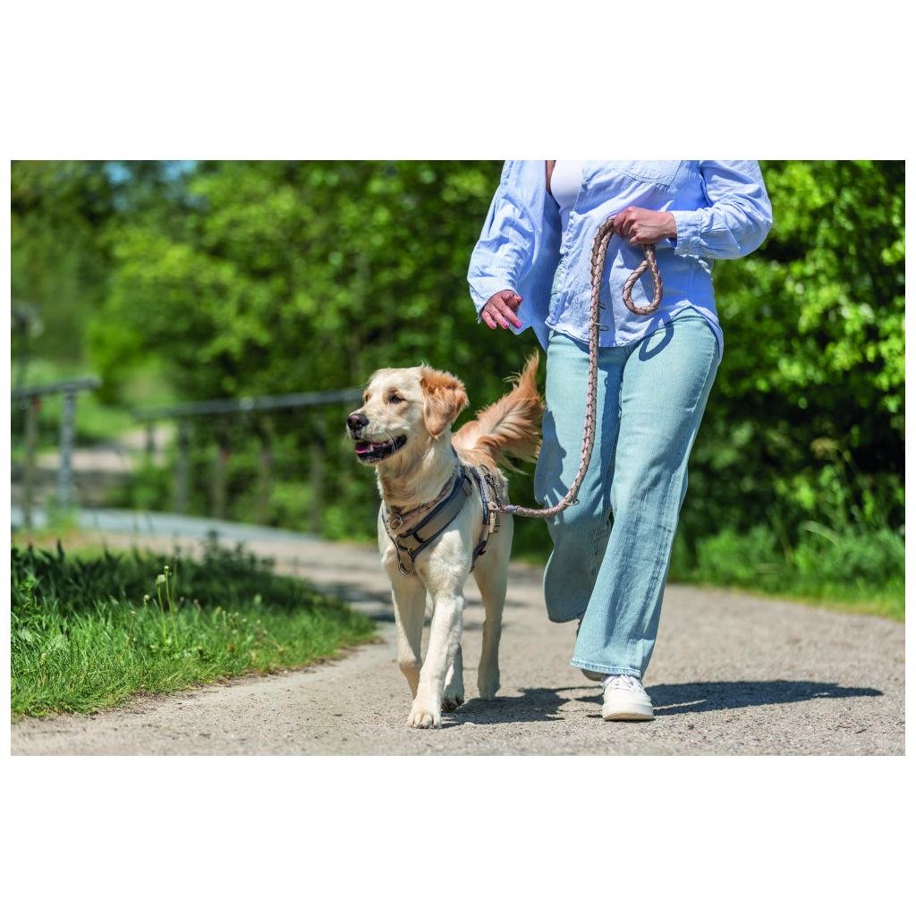 Нашийник для тварин Trixie Cavo напівзашморг M–L 43–51 см d 18 мм рожево-пісочний (4053032678040) - зображення 3