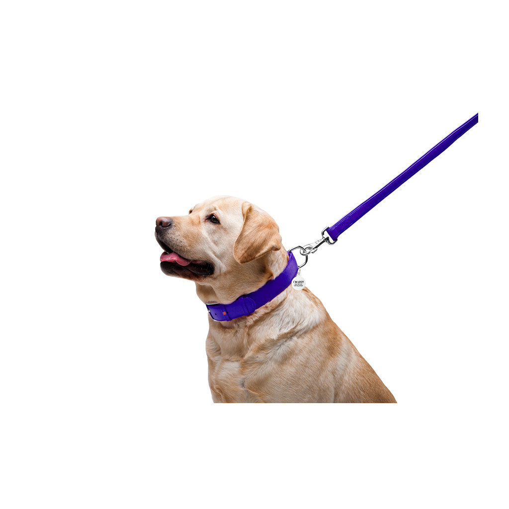 Повідець для собак WAUDOG Glamour шкіряний M-XXL фіолетовий (33769) - зображення 5