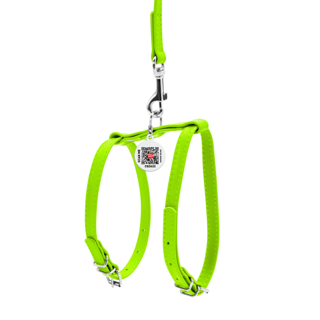 Шлея для собак WAUDOG Glamour з повідцем шкіряна Ш 9 мм А 20-30 см В 30-40 см салатова (33995) - зображення 2