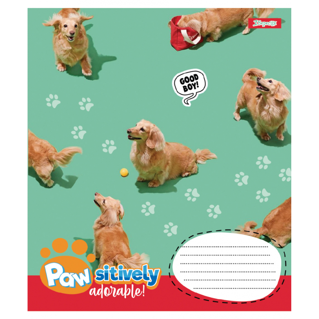 Зошит 1 вересня Pawsitively А5 24 аркушів клітинка (768240) - зображення 3