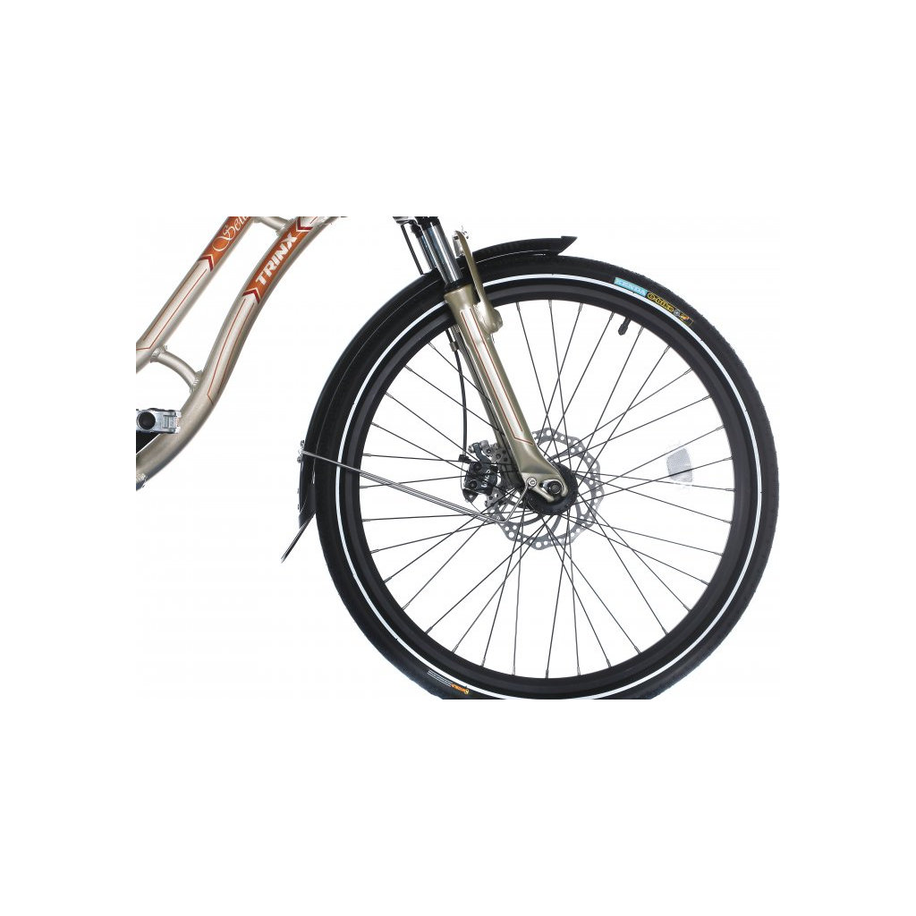 Електровелосипед Trinx E-Bike Sella 2.0 24" рама-17" Champagne-Gold (Sella2_17.CG) - зображення 2
