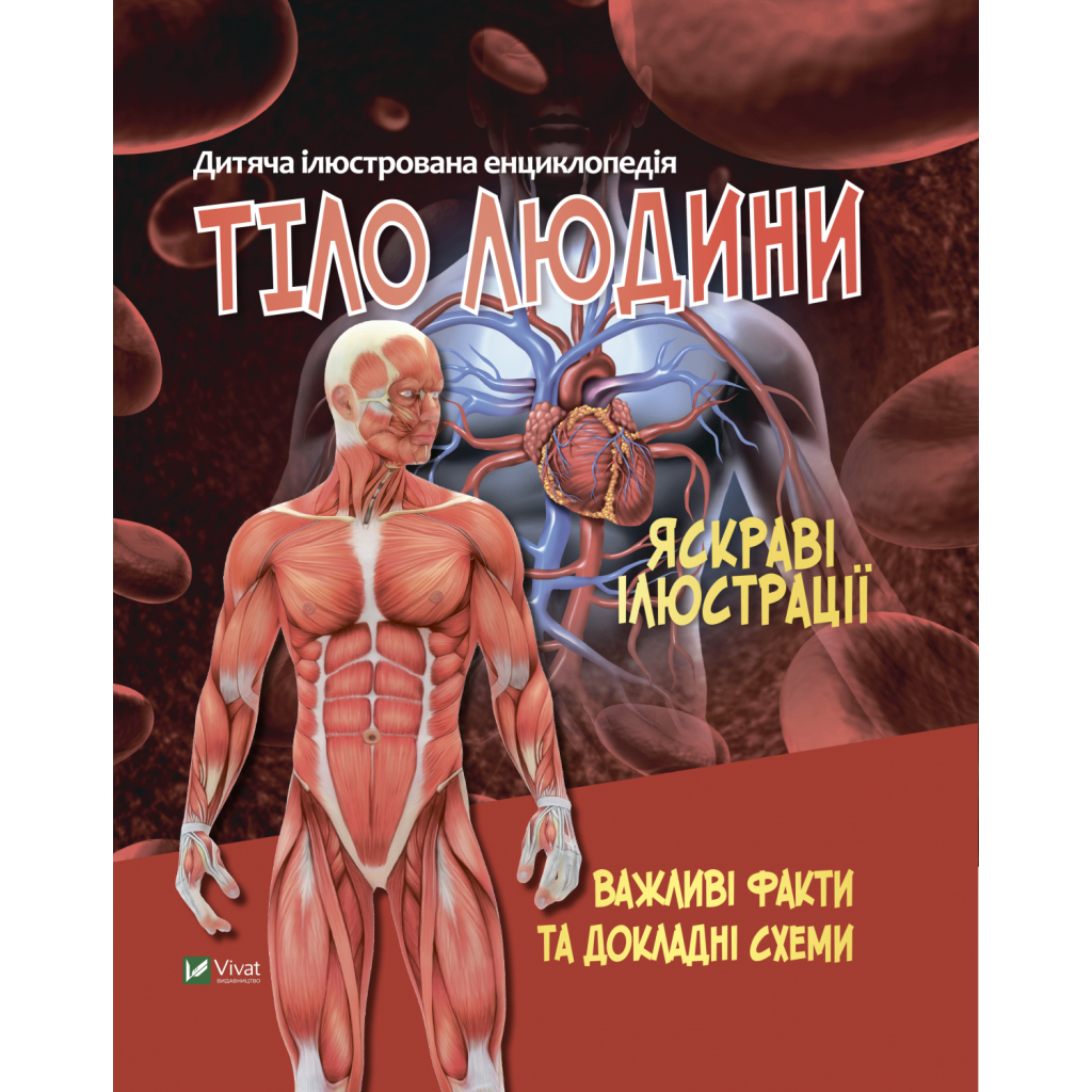 Книга Тіло людини Vivat (9789669827029) - зображення 1