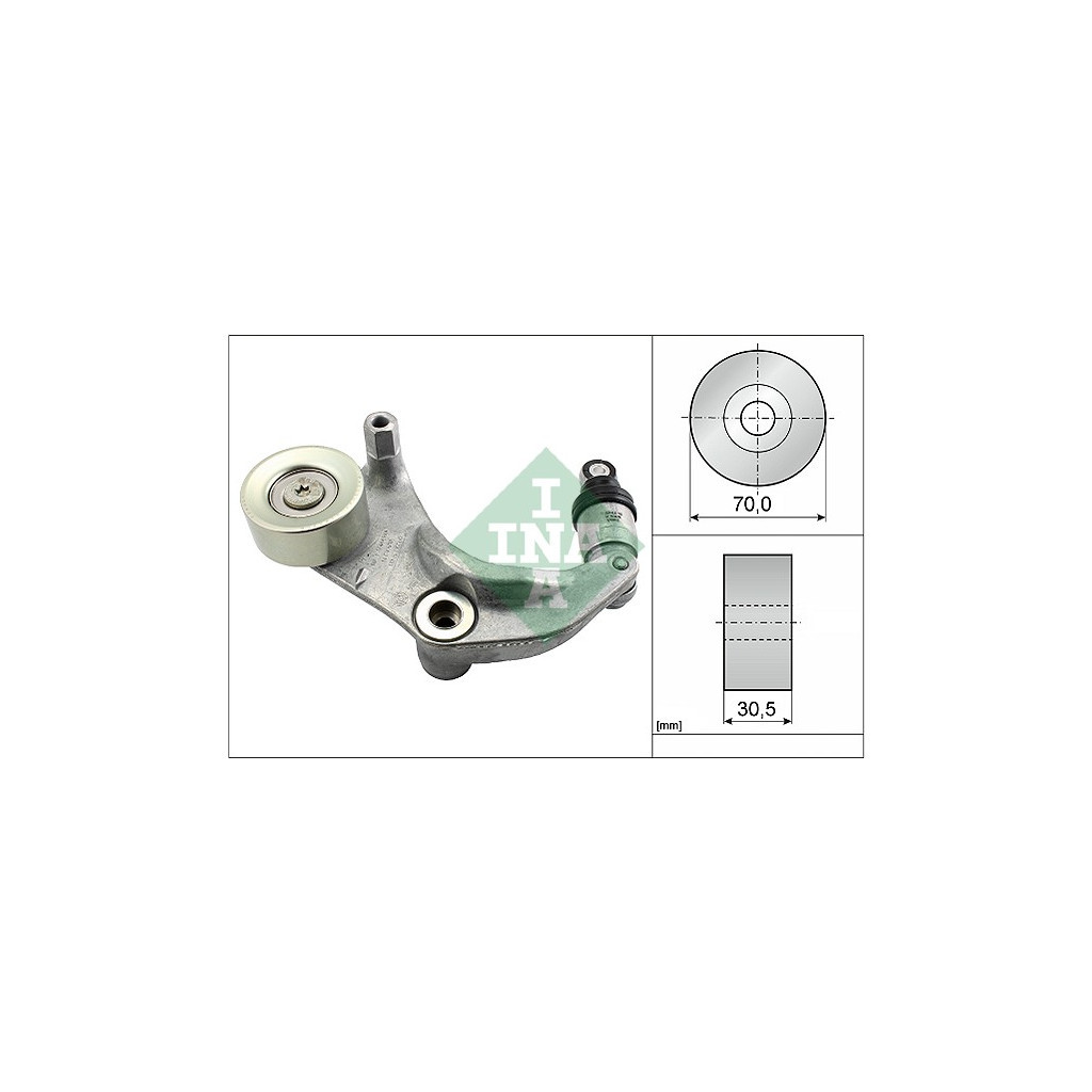 Натягувач ременя з роликом INA 534 0316 10 - зображення 1