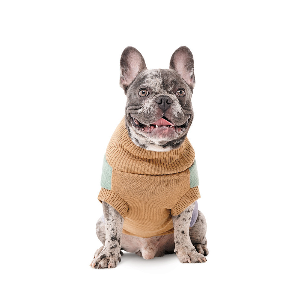 Светр для тварин Pet Fashion Rich XS (такса) (4823082438716) - зображення 3