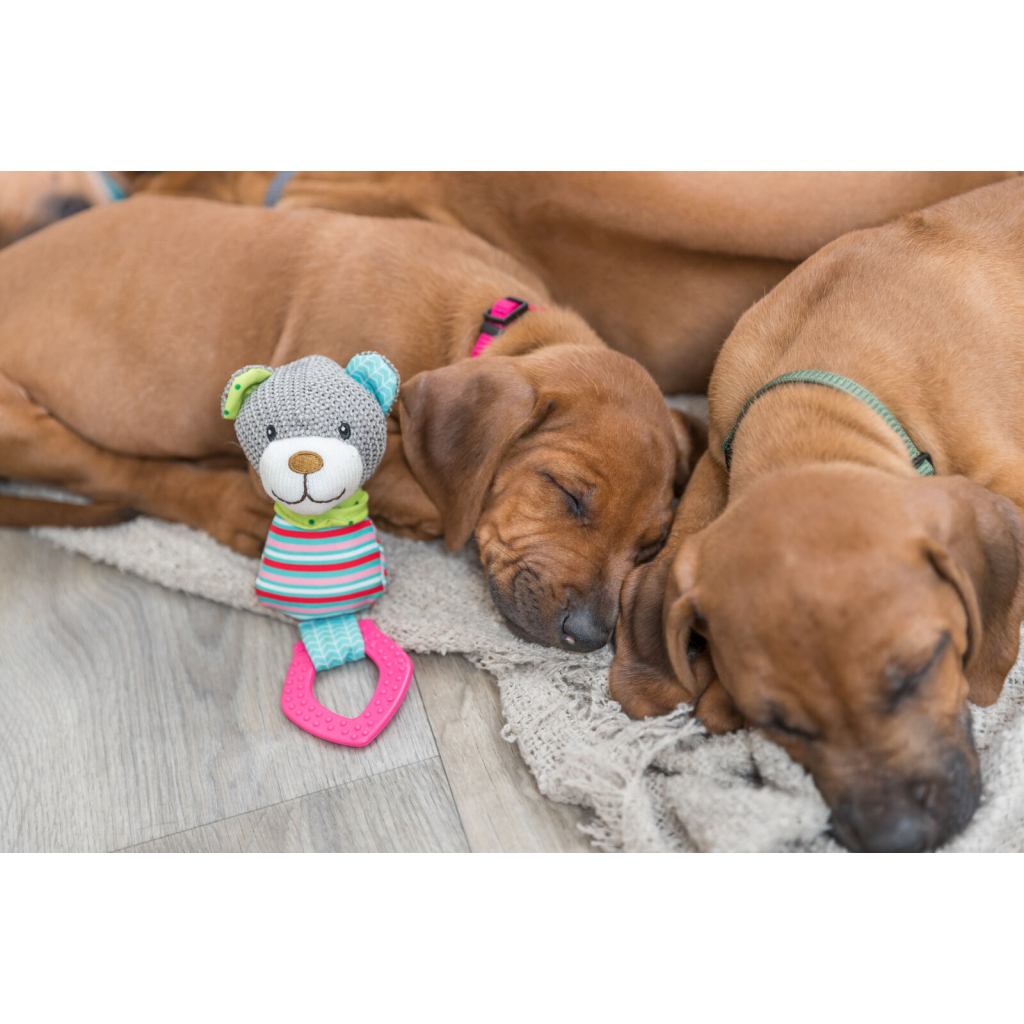 Іграшка для собак Trixie «Junior» Ведмедик з кільцем 23 см (4011905361772) - зображення 3