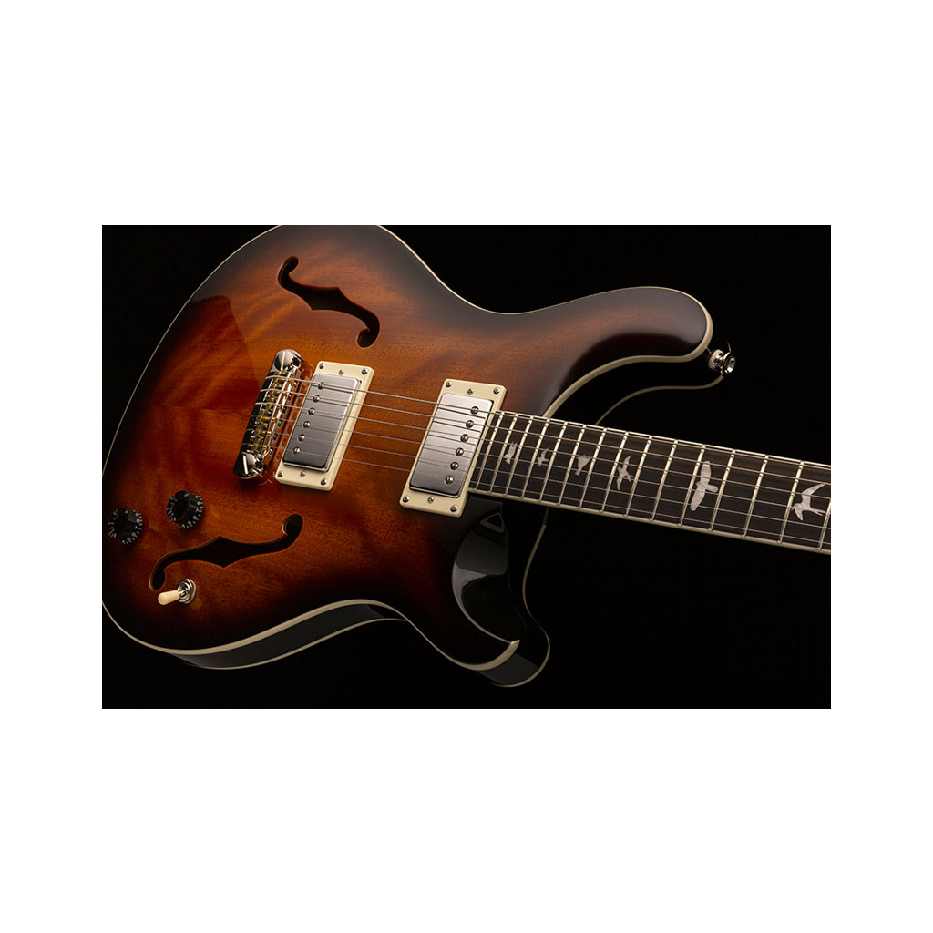 Гітара напівакустична PRS SE Hollowbody Standard - McCarty Tobacco Sunburst (SEHBECBMT) - зображення 10