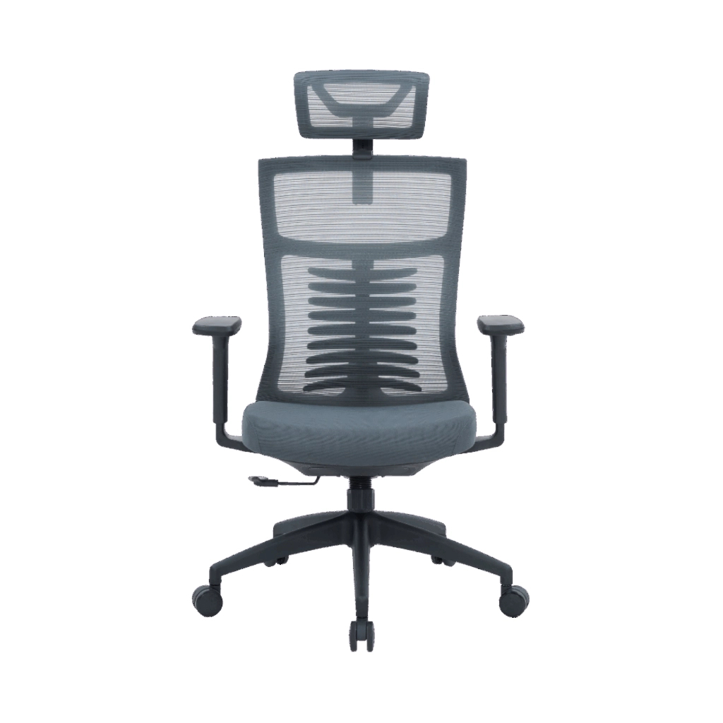 Офісне крісло OfficePro Balance OC550-B-DG-DG (OC550-B-DG-DG) - зображення 1