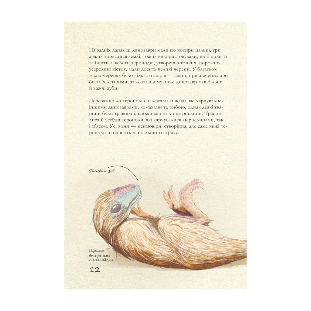 Книга Крейдовий період: Динозаври та інші прадавні тварини - Хуан Карлос Алонсо КСД (9786171283084) - зображення 11