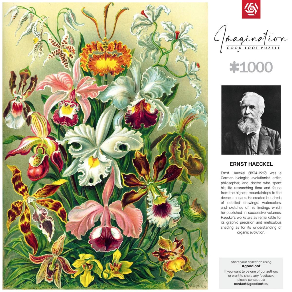 Пазл GoodLoot Imagination: Orchid Ernst Haeckel 1000 ел. (5908305247531) - picture 6