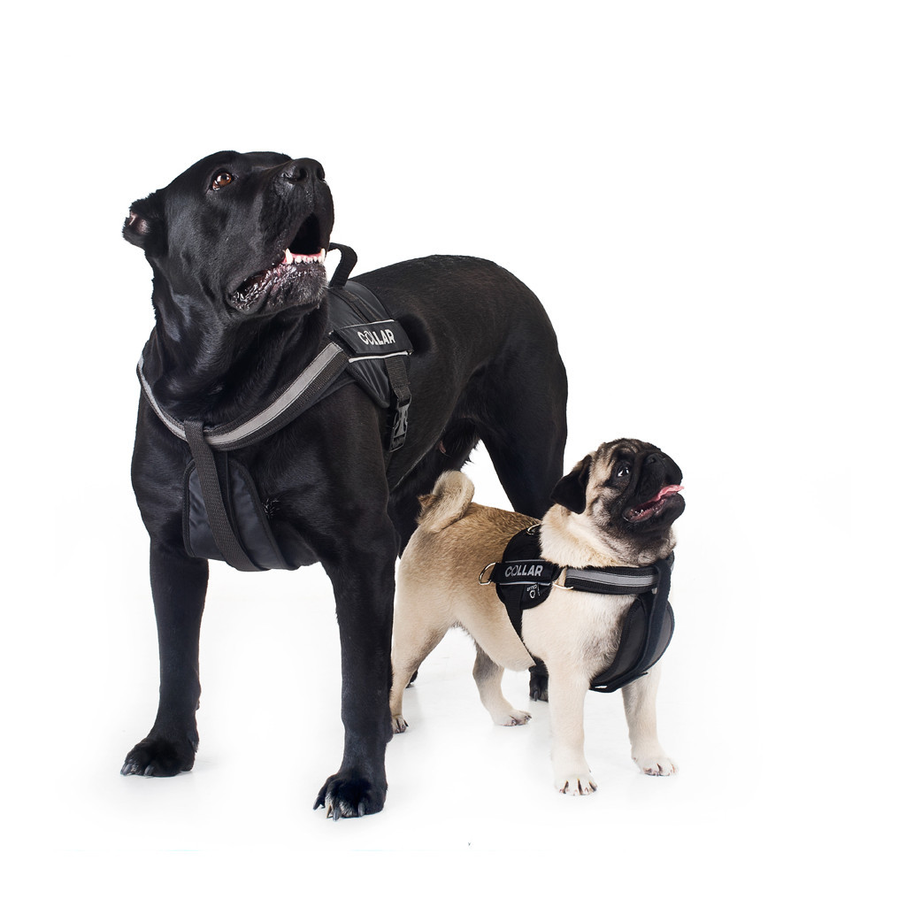 Шлея для собак Dog Extreme Police N2 40-60 см чорна (07051) - зображення 3