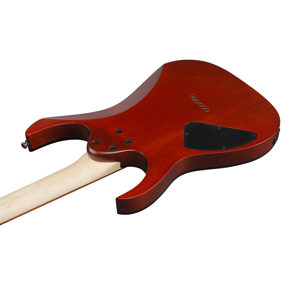 Електрогітара Ibanez RG421PB CHF (230535) - изображение 5