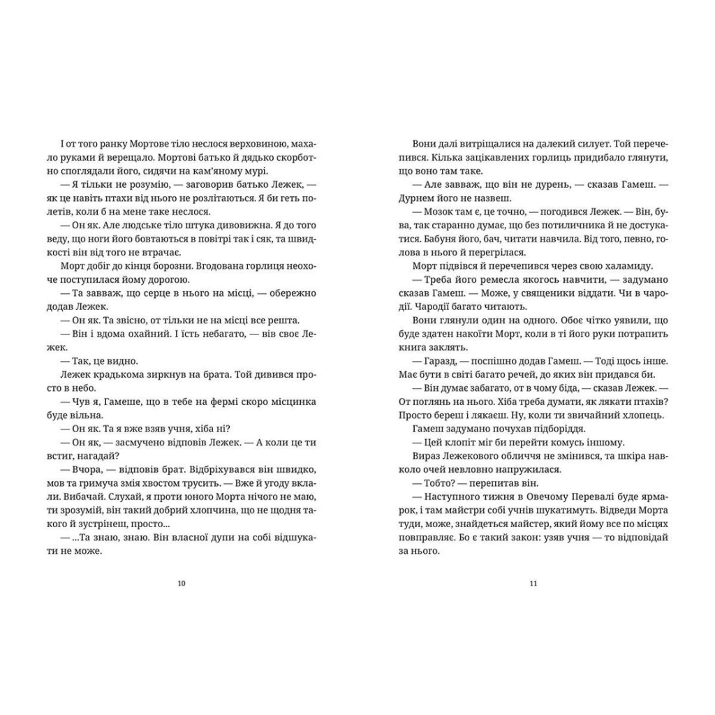 Книга Морт - Террі Пратчетт Видавництво Старого Лева (9786176794837) - зображення 5