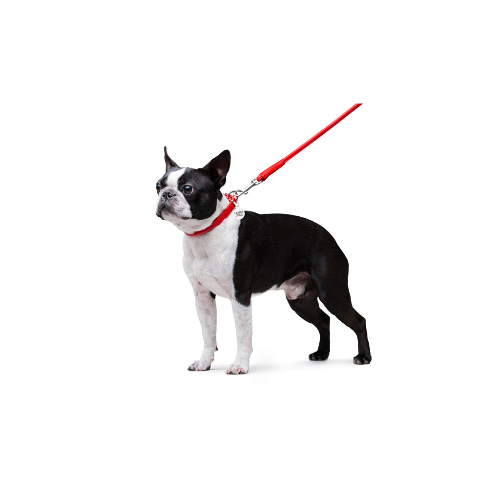 Повідець для собак WAUDOG Glamour круглий XS d 8 мм Д 122 см червоний (33773) - зображення 5