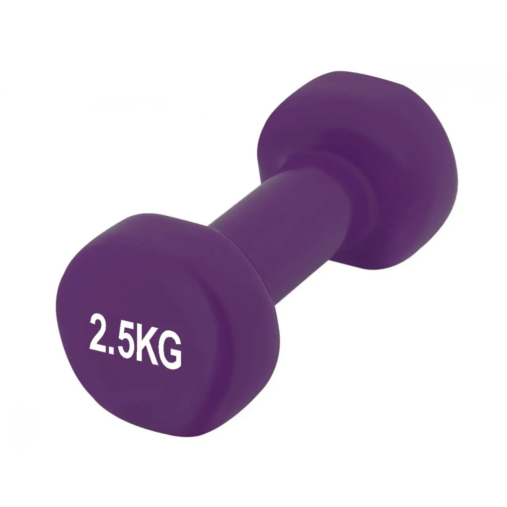 Гантель PowerPlay вінілові 4125 Achilles 2 х 2.5 кг Фіолетові (PP_4125_2.5kg_2in) - зображення 3