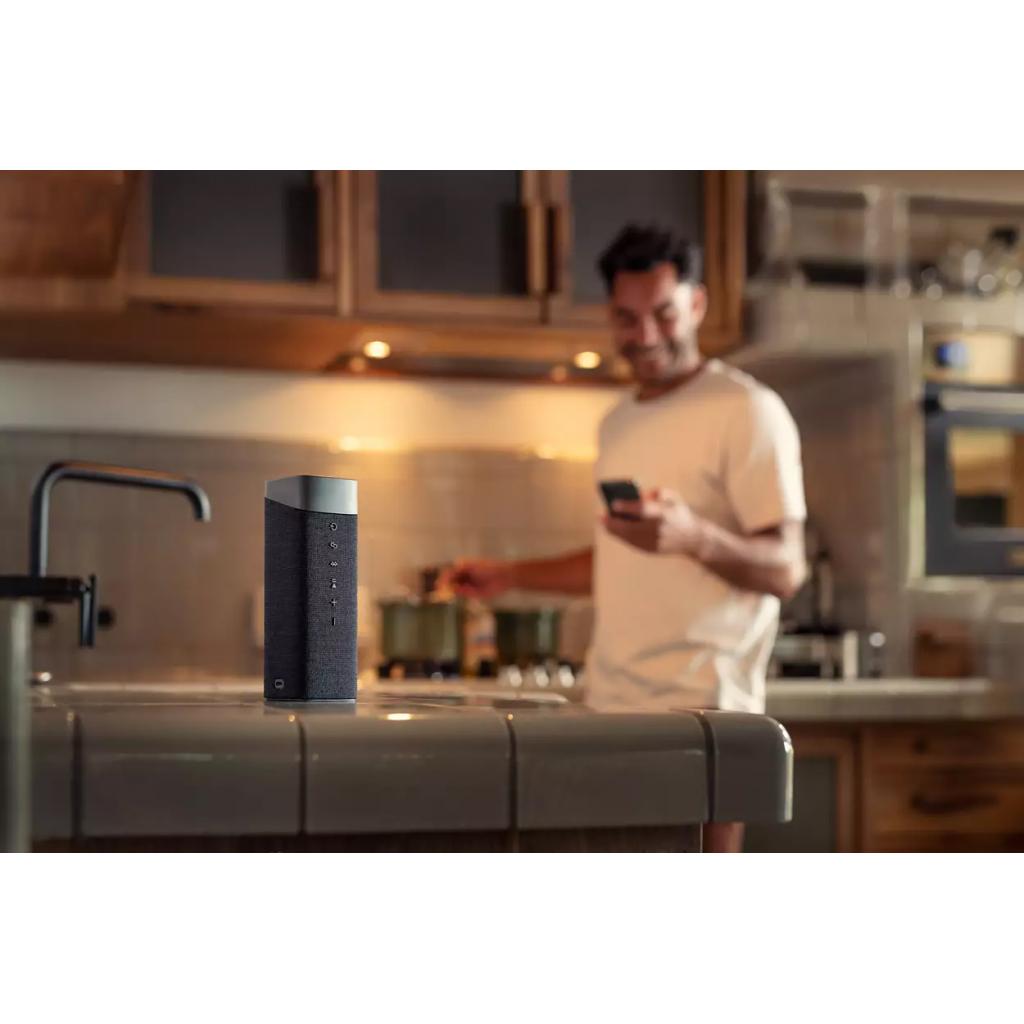 Акустична система Philips TAS7505 Black-Grey (TAS7505/00) - зображення 5