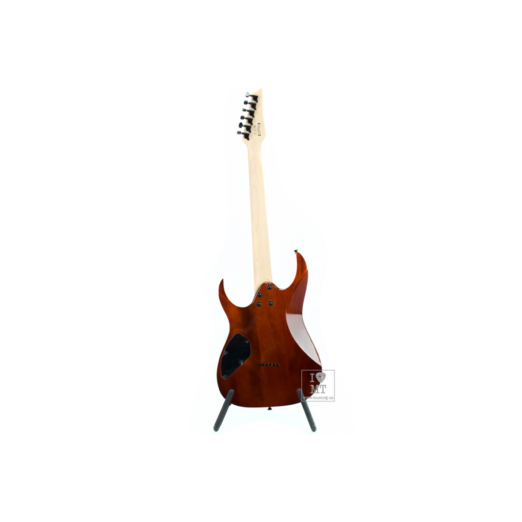 Електрогітара Ibanez GRGR221PA-AQB (230801) - изображение 4