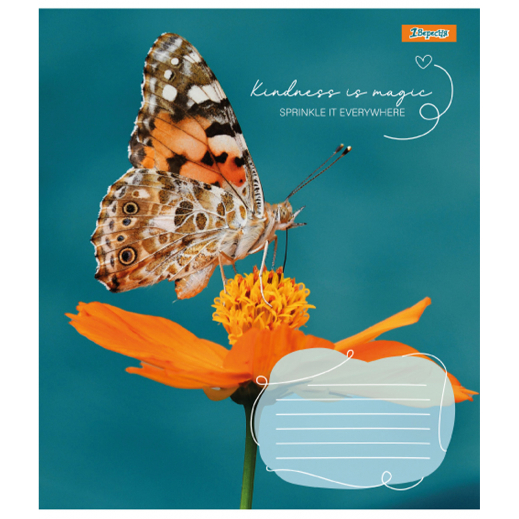 Зошит 1 вересня Butterfly А5 24 аркушів клітинка (767273) - зображення 2