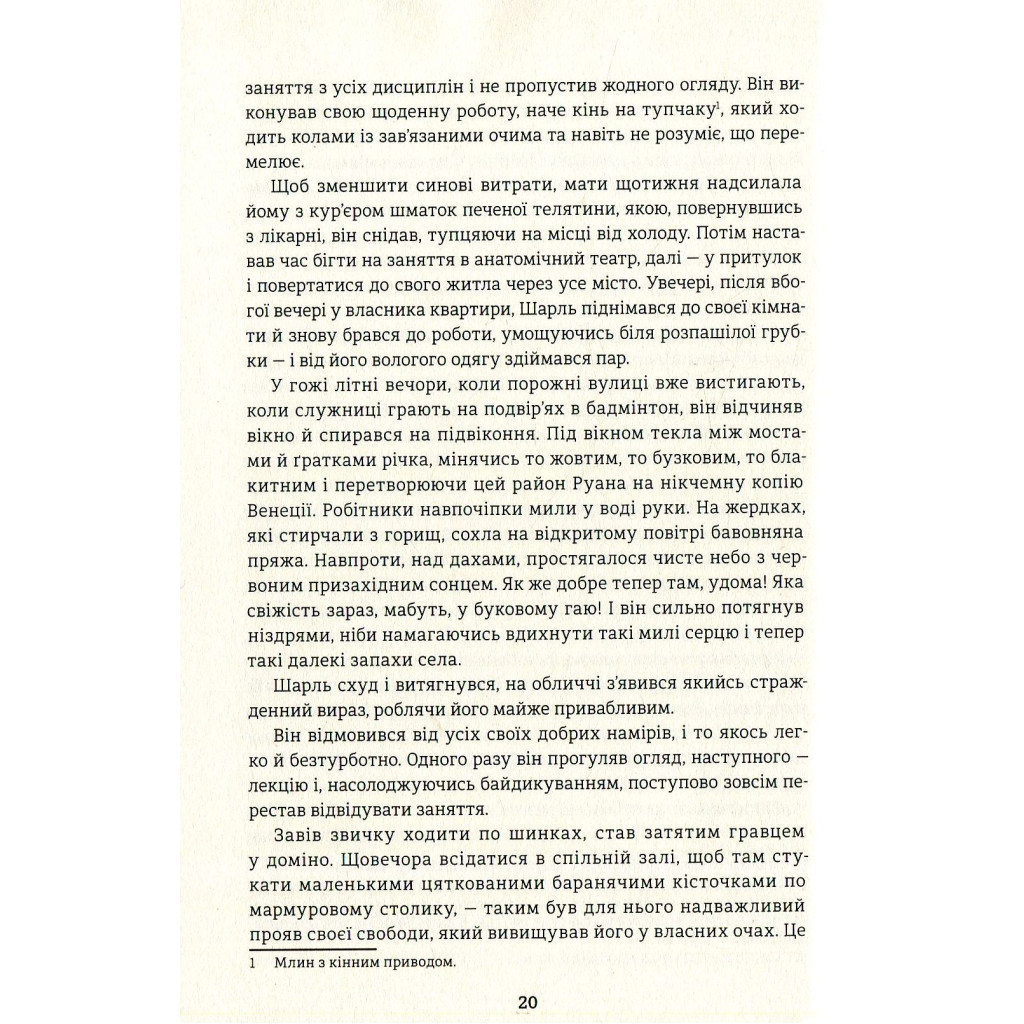 Книга Пані Боварі - Гюстав Флобер #книголав (9786177563111) - зображення 12